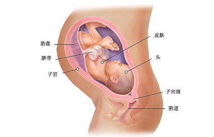 怀孕第三十六周